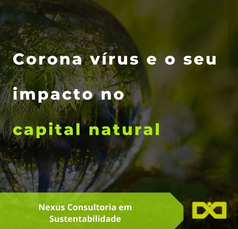 Nexus - Consultoria em Planos de Saúde